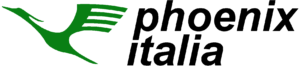 Claudio-Roz-coding-consultant-marchi-phoenix