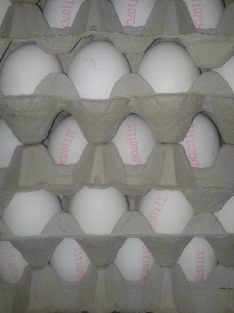 imballaggio-uova-con-codice