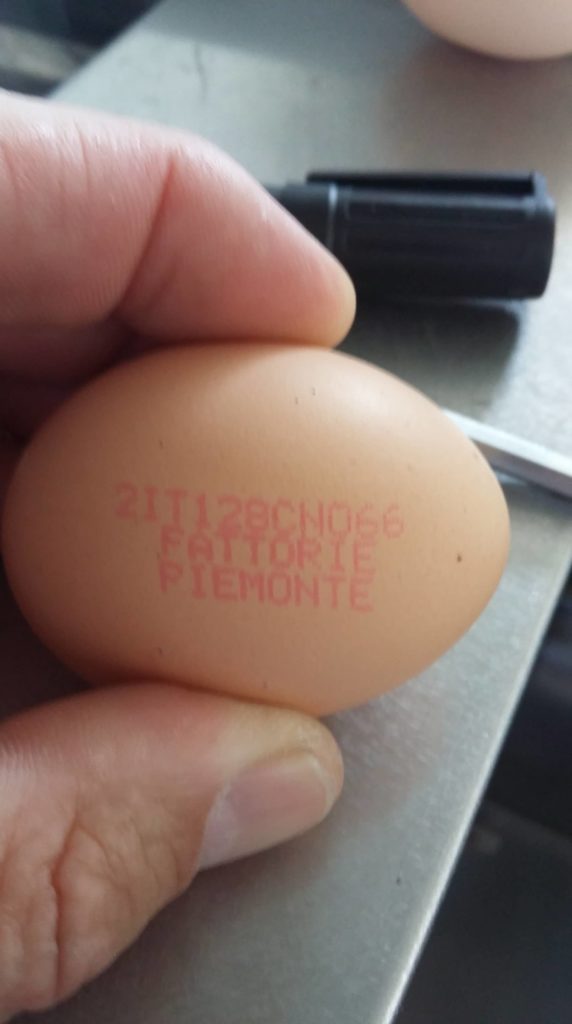 uovo-con-etichetta-tenuto-dalle-dita